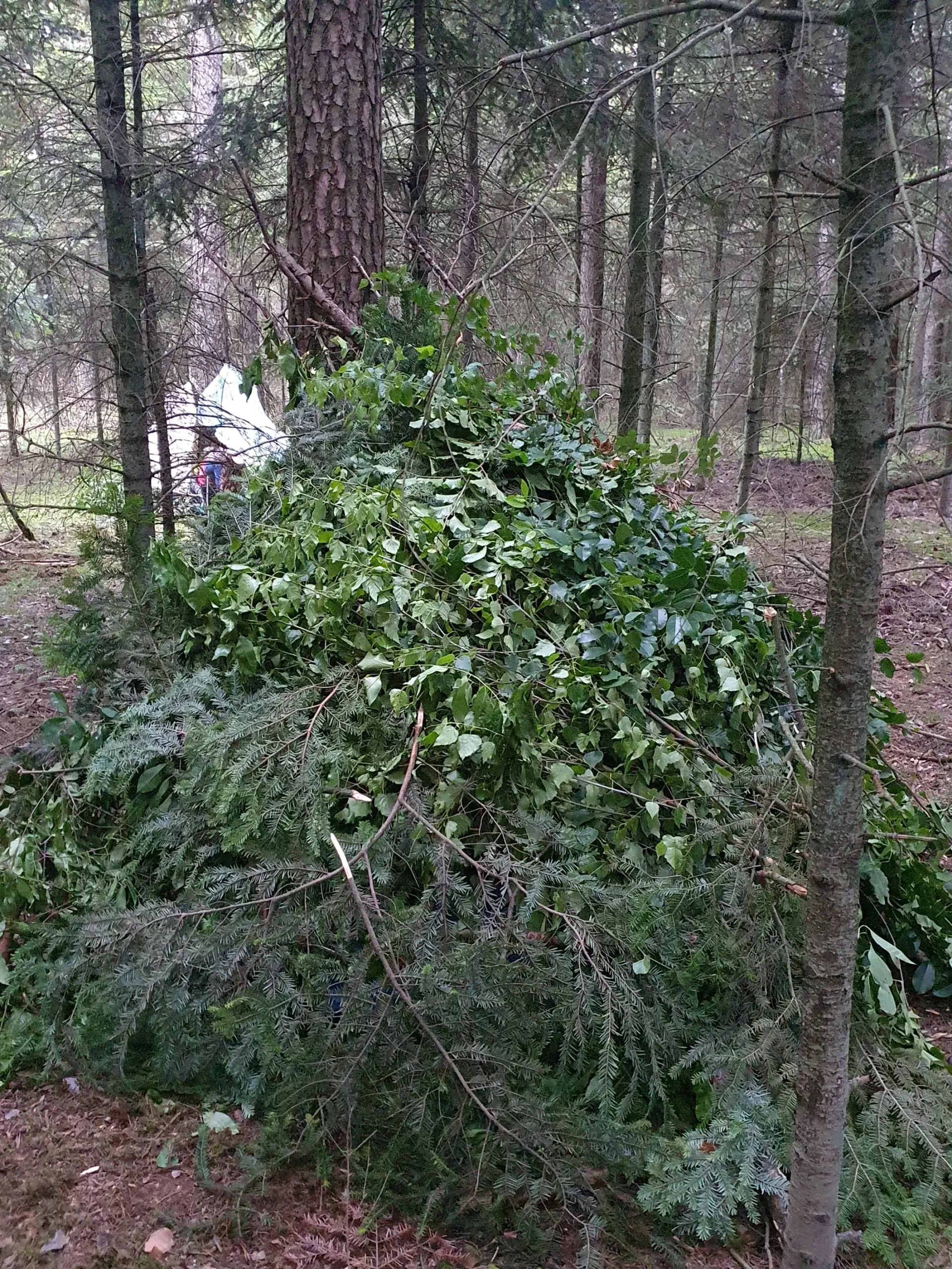 Warsztatownia Kulturka u stółka - survival Max