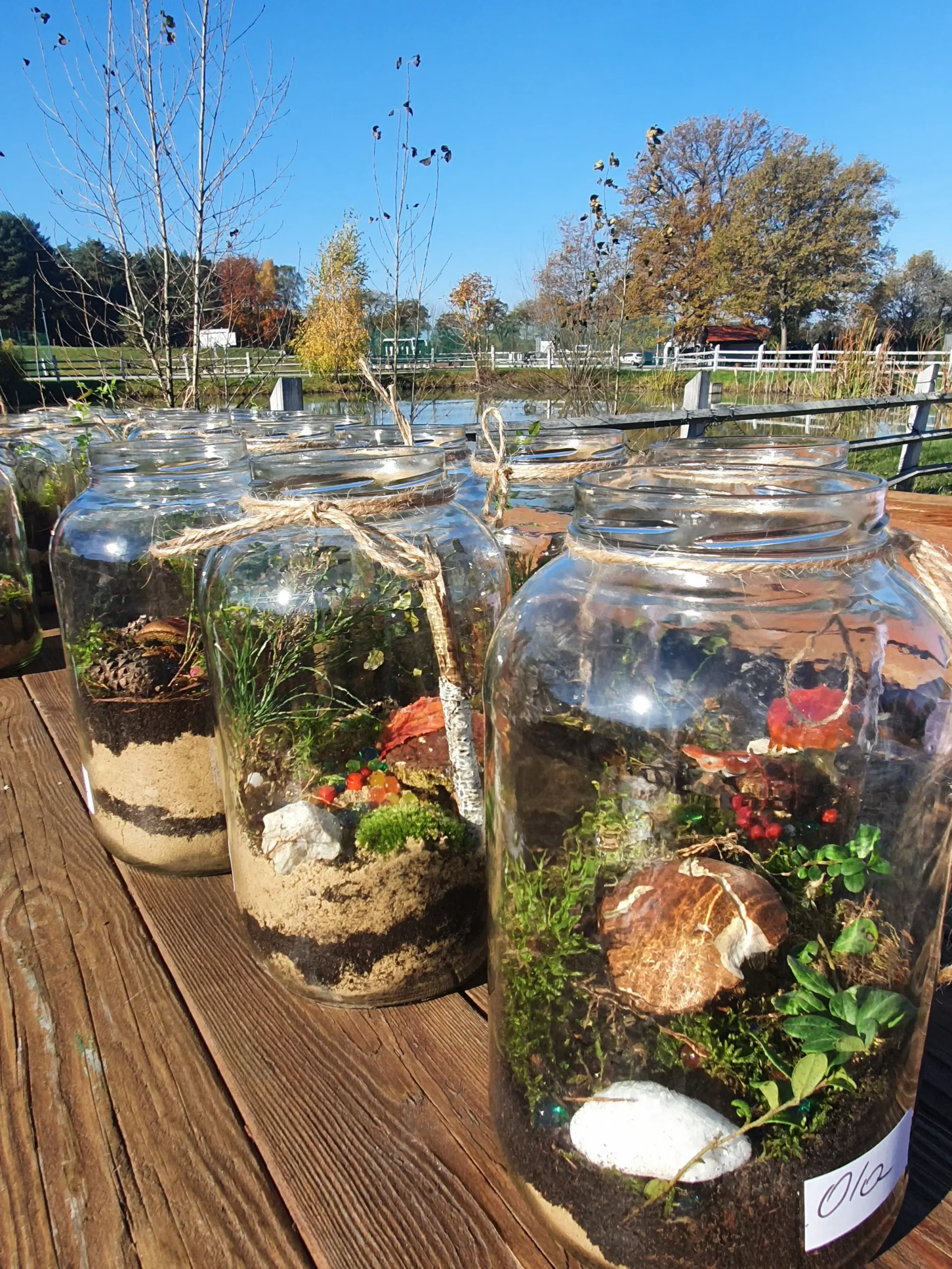 Warsztatownia Kulturka u stółka – Las w szkle