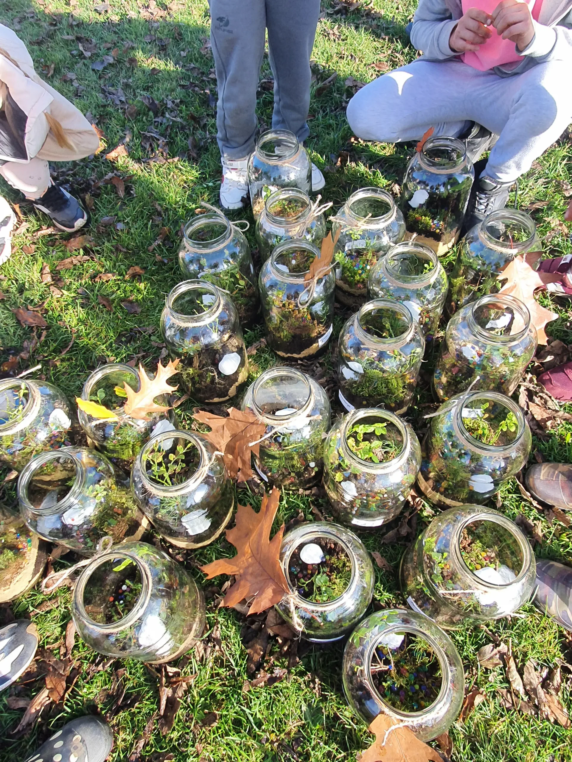 Warsztatownia Kulturka u stółka – Las w szkle