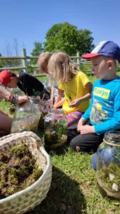 Warsztatownia Kulturka u stółka – Las w szkle