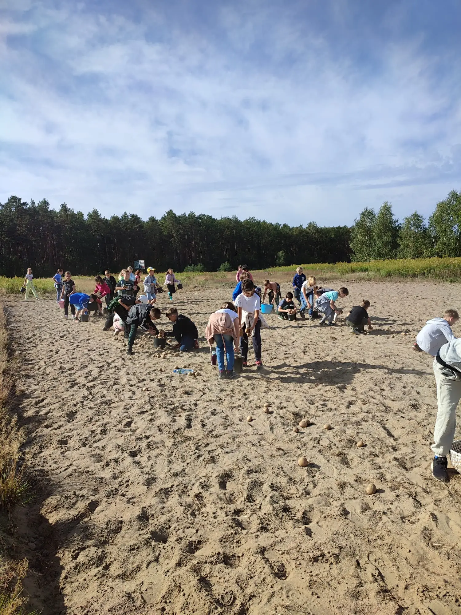 Warsztatownia Kulturka u stółka - Święto ziemniaka