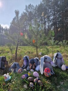 Zdjęcie WhatsApp 2025-02-10 o 18.46.49_7c637a42